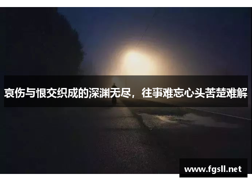 哀伤与恨交织成的深渊无尽，往事难忘心头苦楚难解