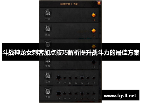 斗战神龙女刺客加点技巧解析提升战斗力的最佳方案
